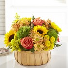 The Harvest Sunflower Basket  from Parkway Florist in Pittsburgh PA